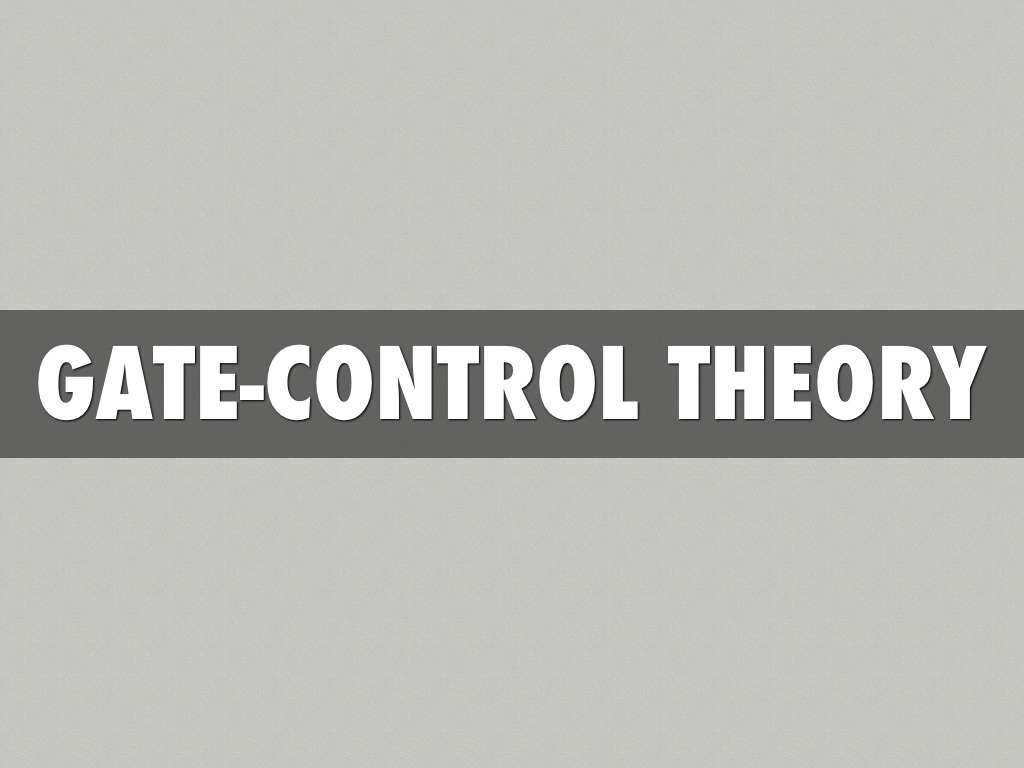 Vocab Pgs 132150 by Jackie Brugmann