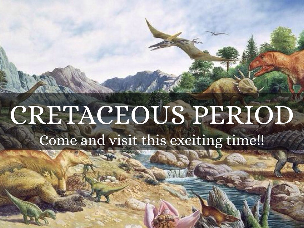 CRETACEOUS PERIOD