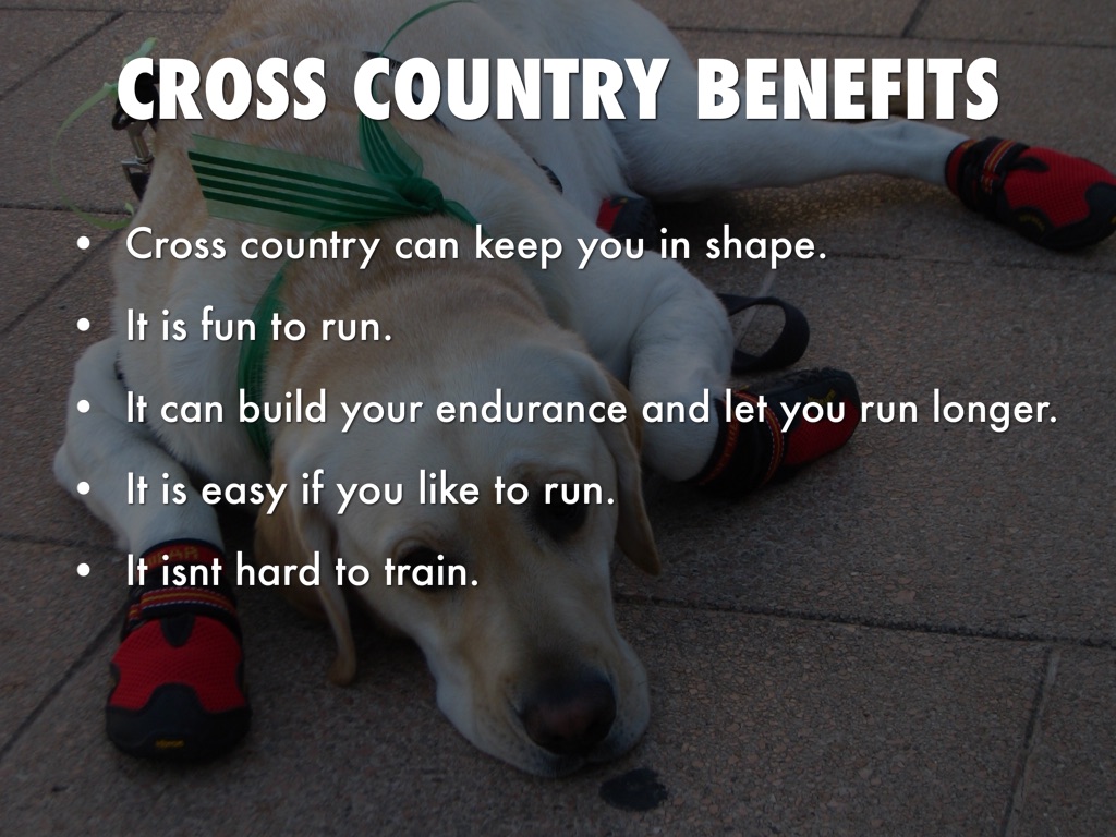 Cross Country by Mikey Upholz