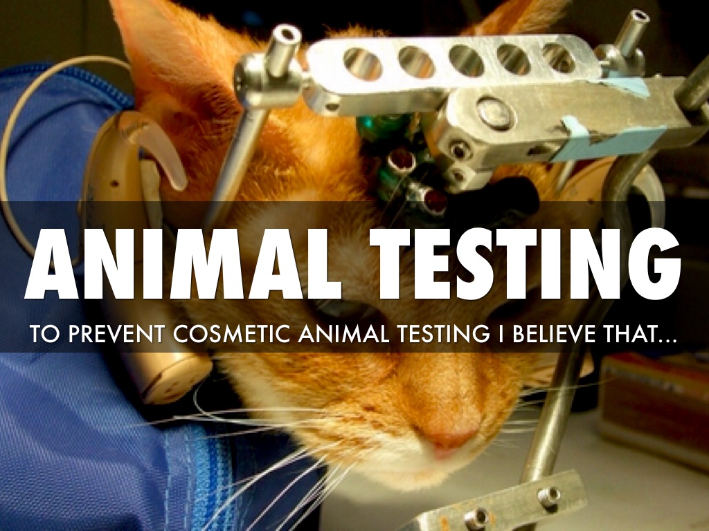 Copy of Animal Testing