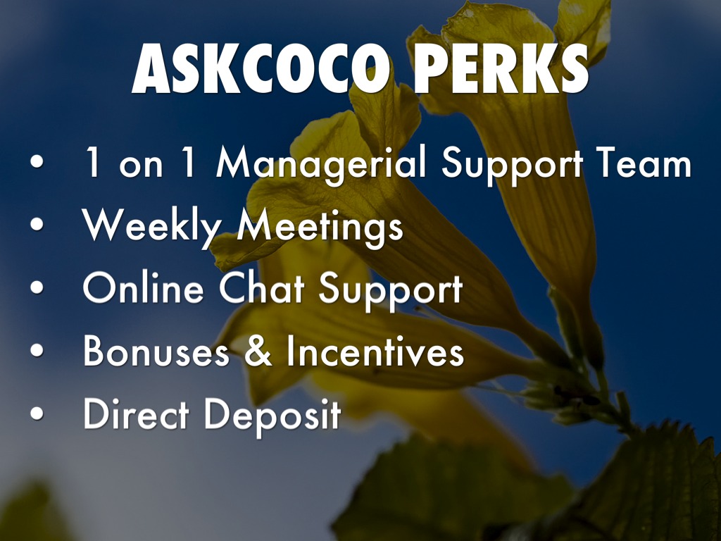 arise askcoco by chanel