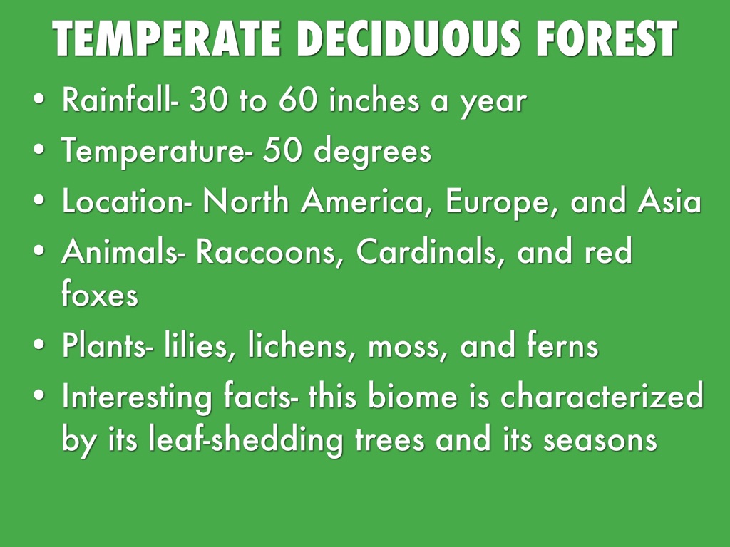 Temperate Deciduous Forest Facts