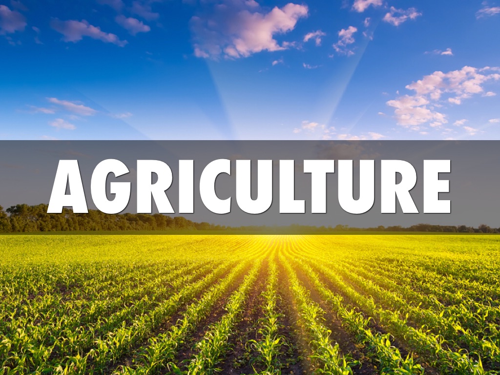 Agriculture  