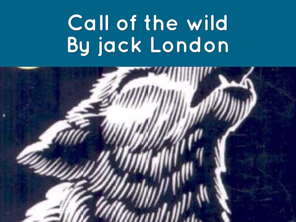 Quarter 4 Ir Project 