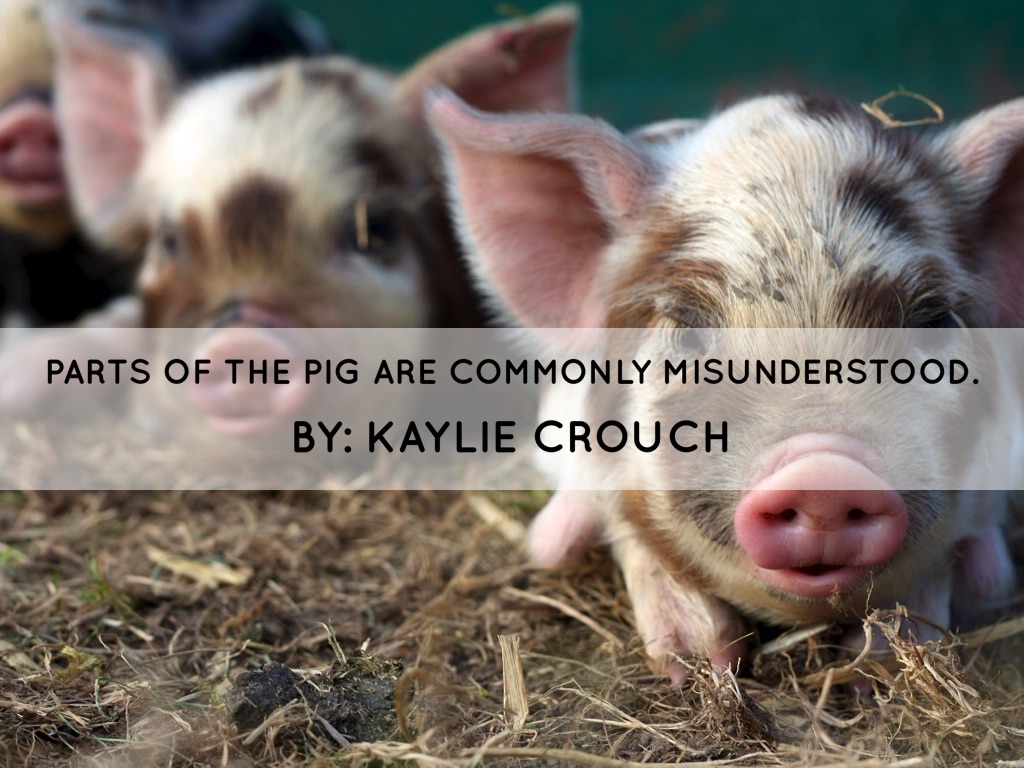 Parts Of The Pig Are Commonly Misunderstood.