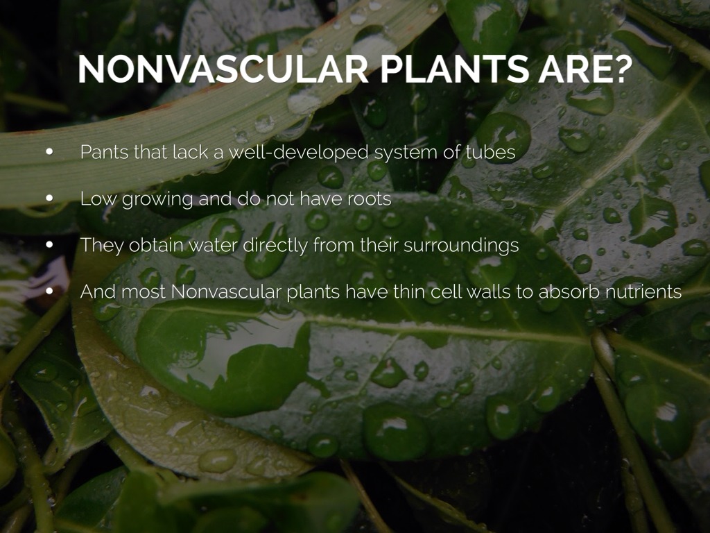 Science Project by Caitlin Clark