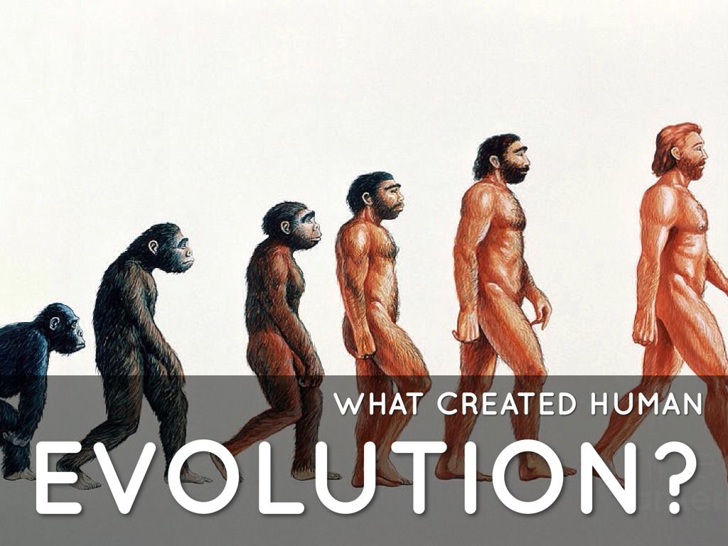 Evolution 