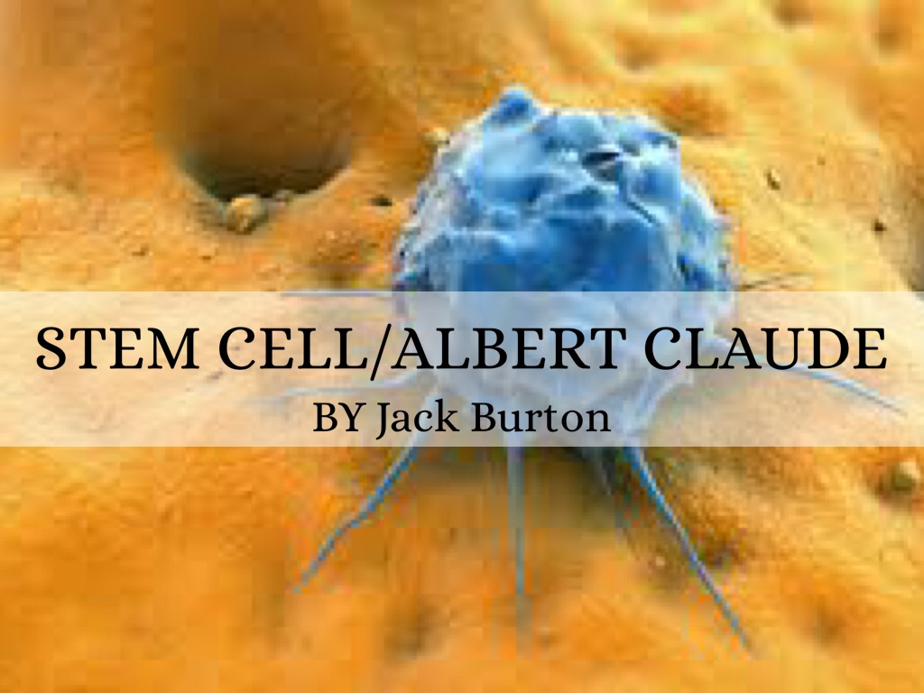 Stem Cell
