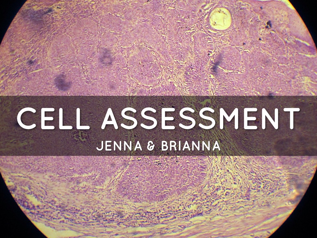 Cell Assessment