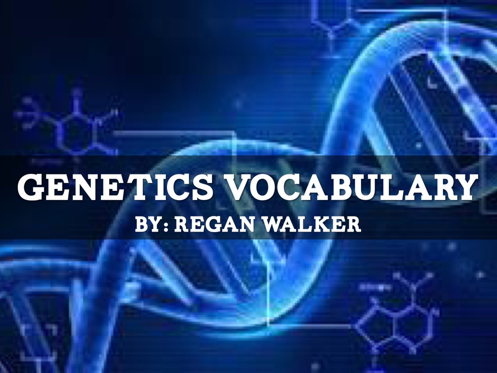 Genetics Vocabulary 
