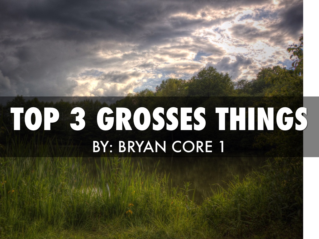 Top 10 Grosses Things