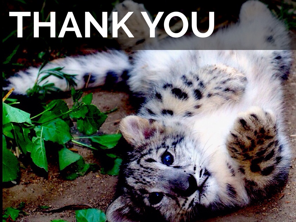 Snow Leopards by Jazmyn Liwag