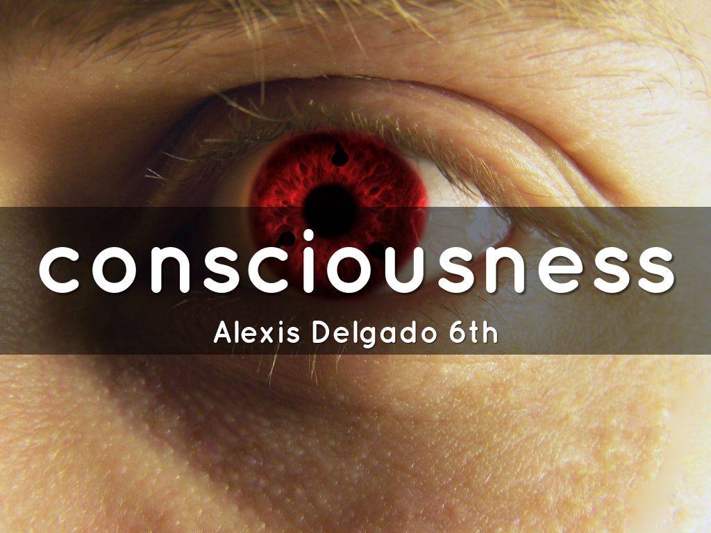 Unit 4 AP Psychology State of Consciousness