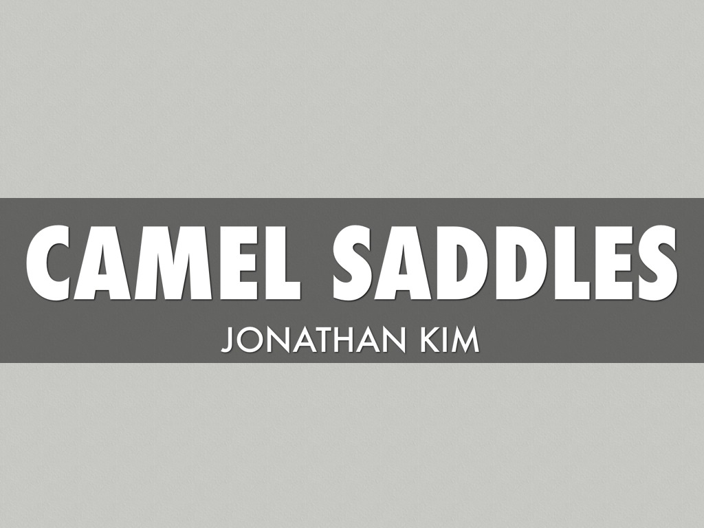 Camel Saddles