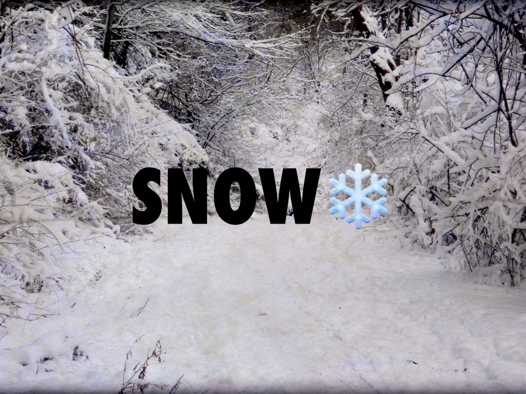 Snow❄️⛄️❤️