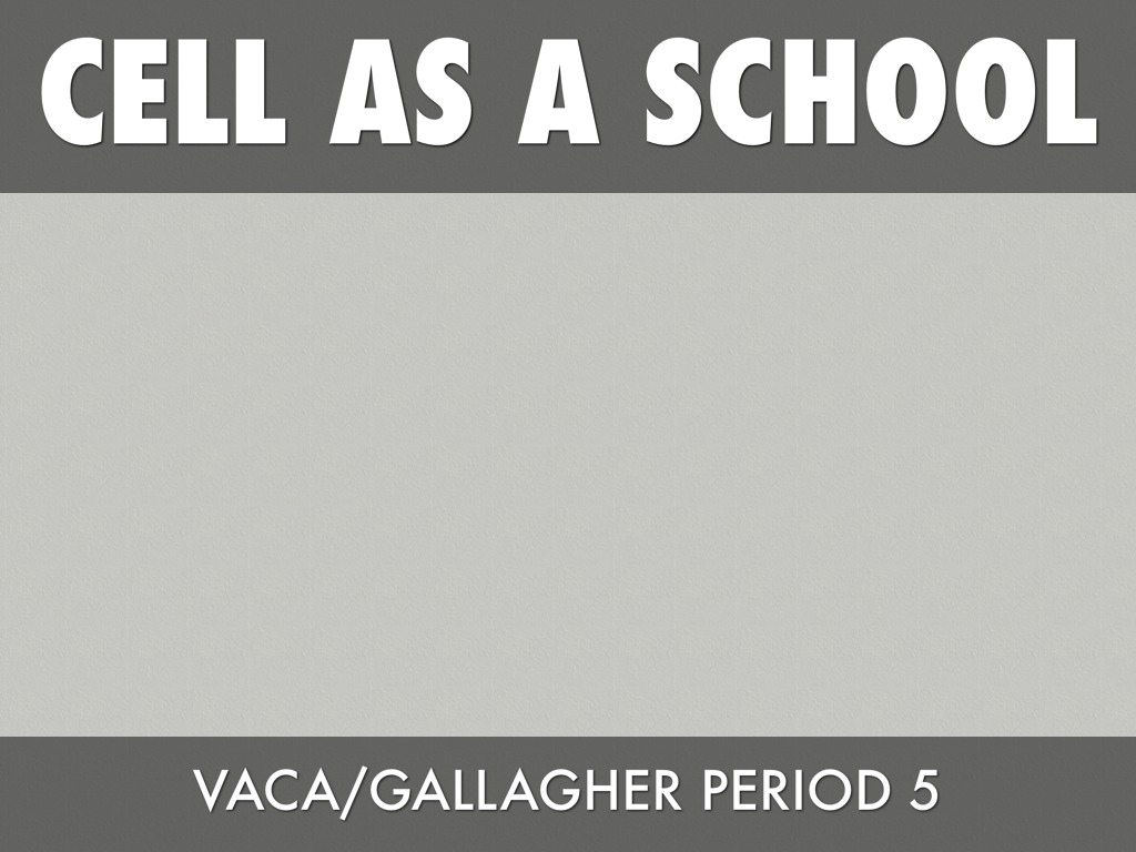 Vaca/Gallagher Period5