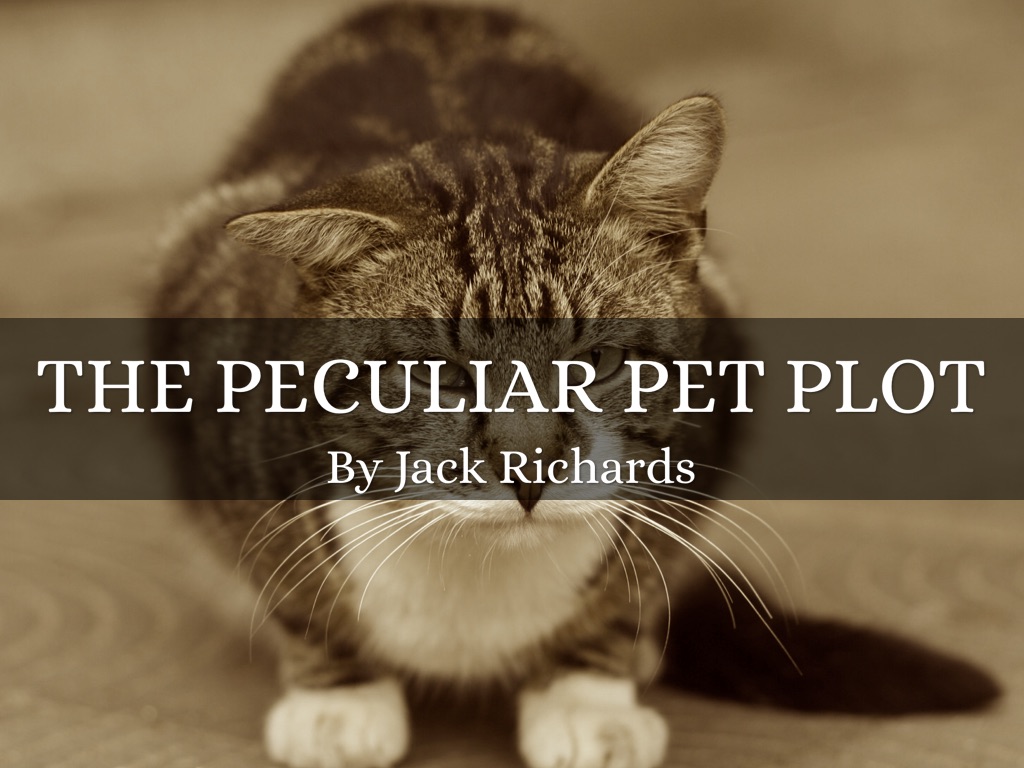 Sentence Structure:The Peculiar  Pet Plot