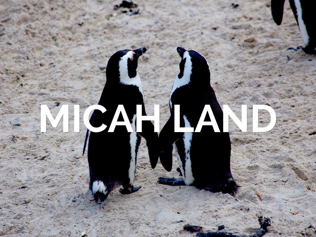 Micah Land