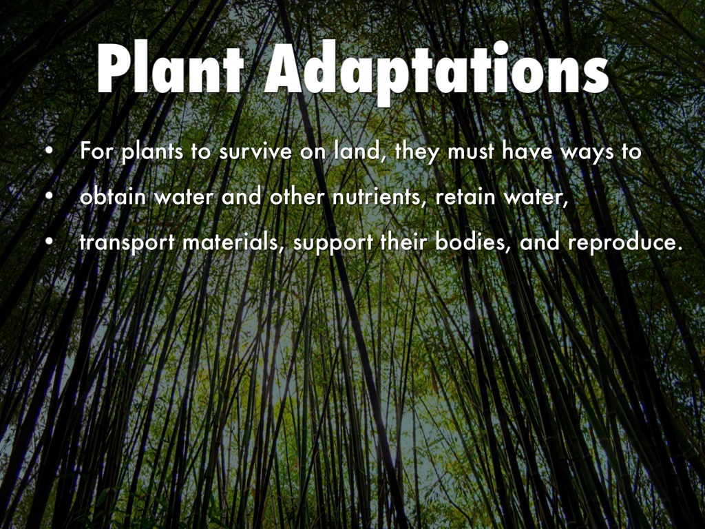 Science by Brittney Howard