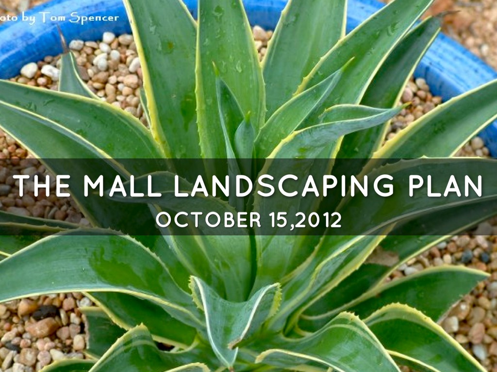 The Mall Landscaping Plan