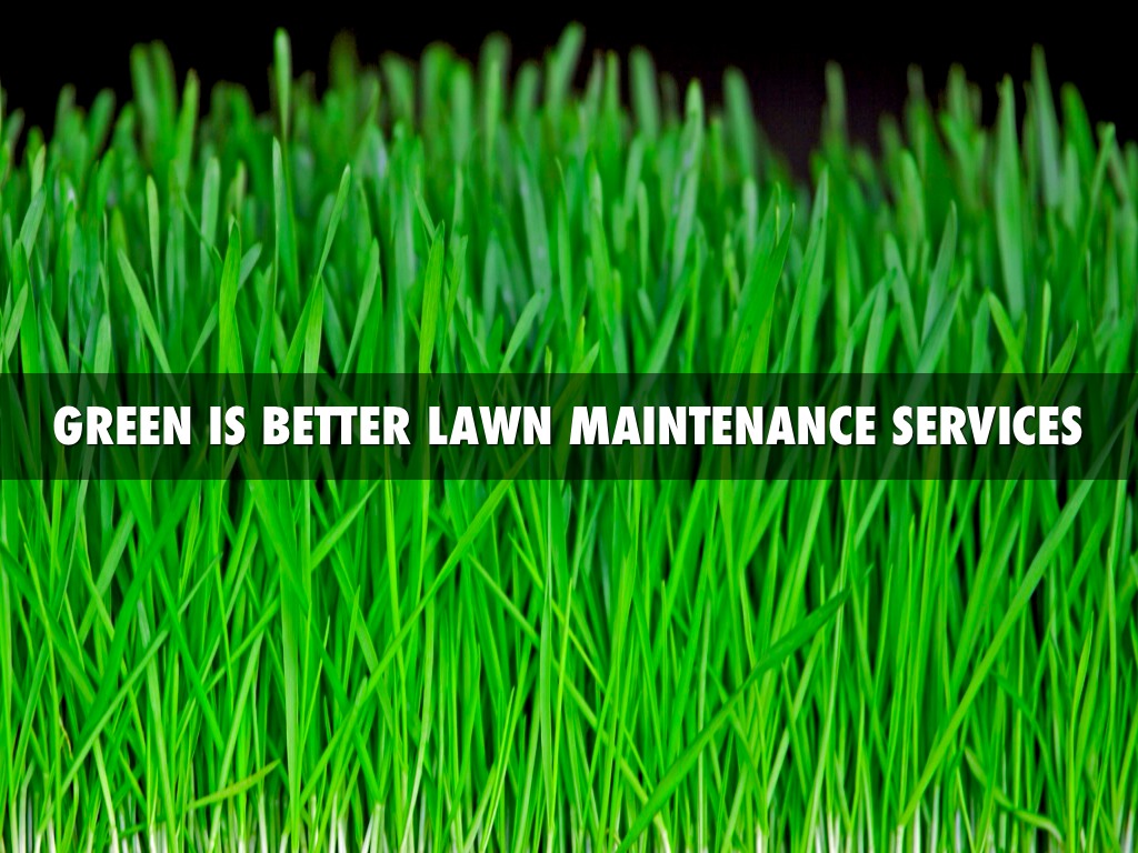 Green Is Better Landscaping 