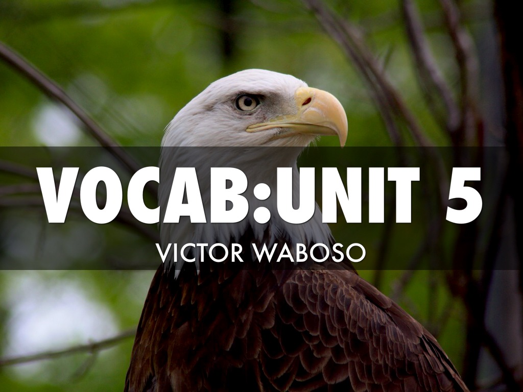 Vocab II Unit 5