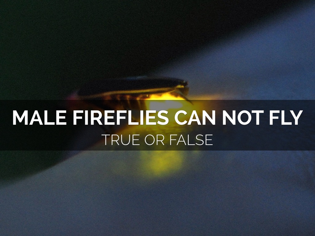 Snapple Facts True Or False