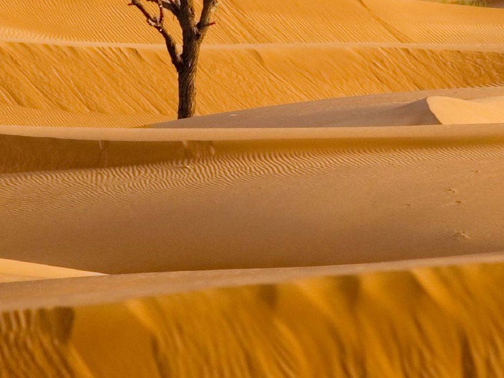 Ridgecrest Area-Wide