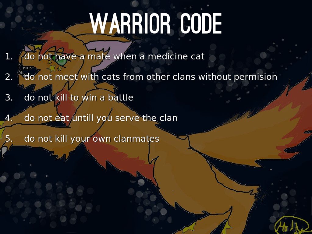 Medicine cat code - Warrior Cats