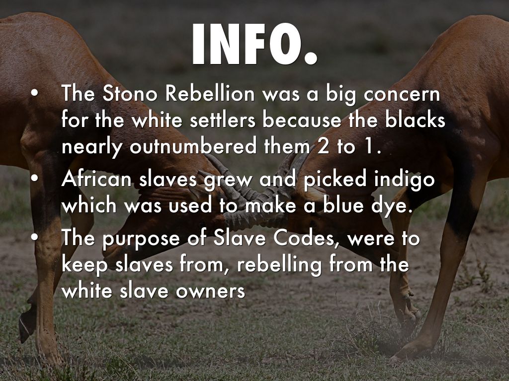 Social Studies Project By Caleb B 