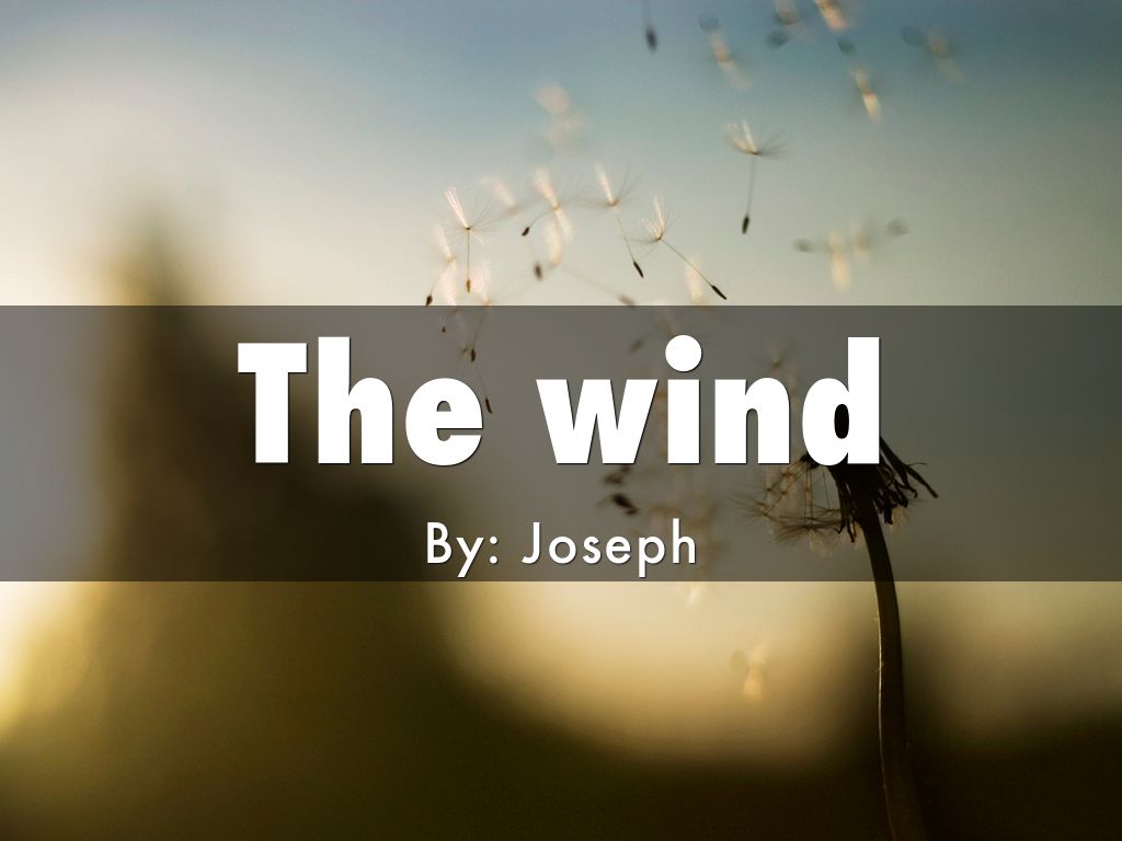 The wind