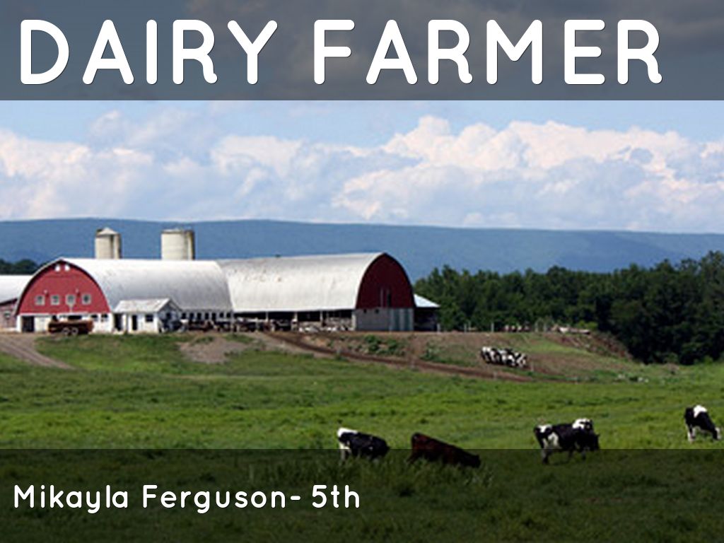 Dairy Farming 