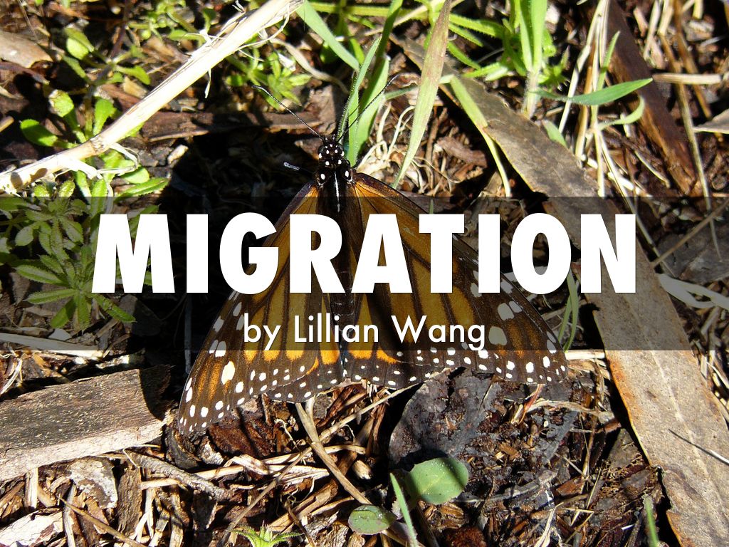 Migration