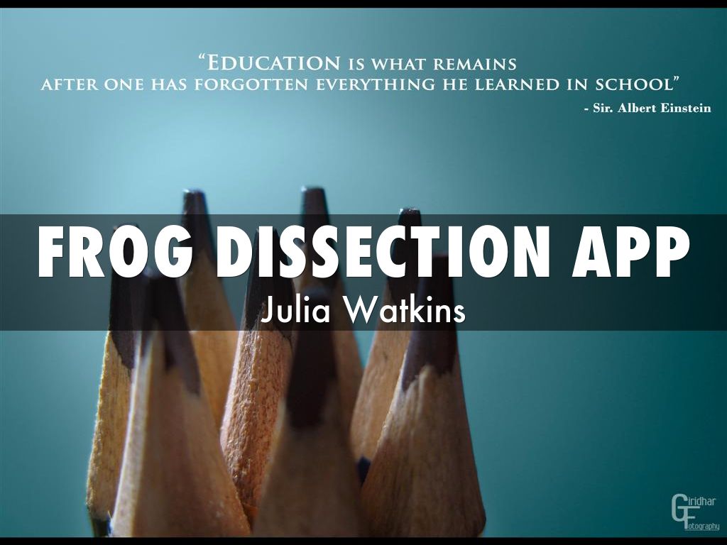 Frog Dissection App