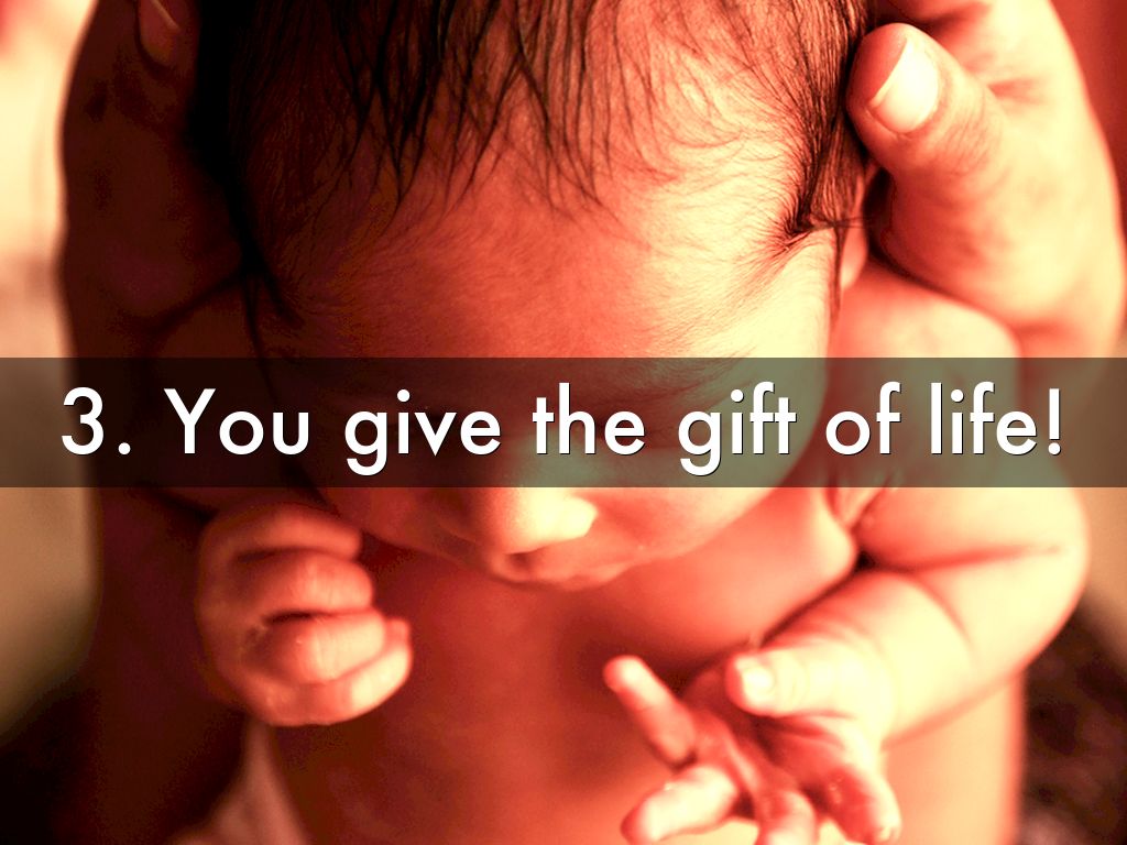 Top 4 Reasons to Donate Your Eggs by chicagoivf