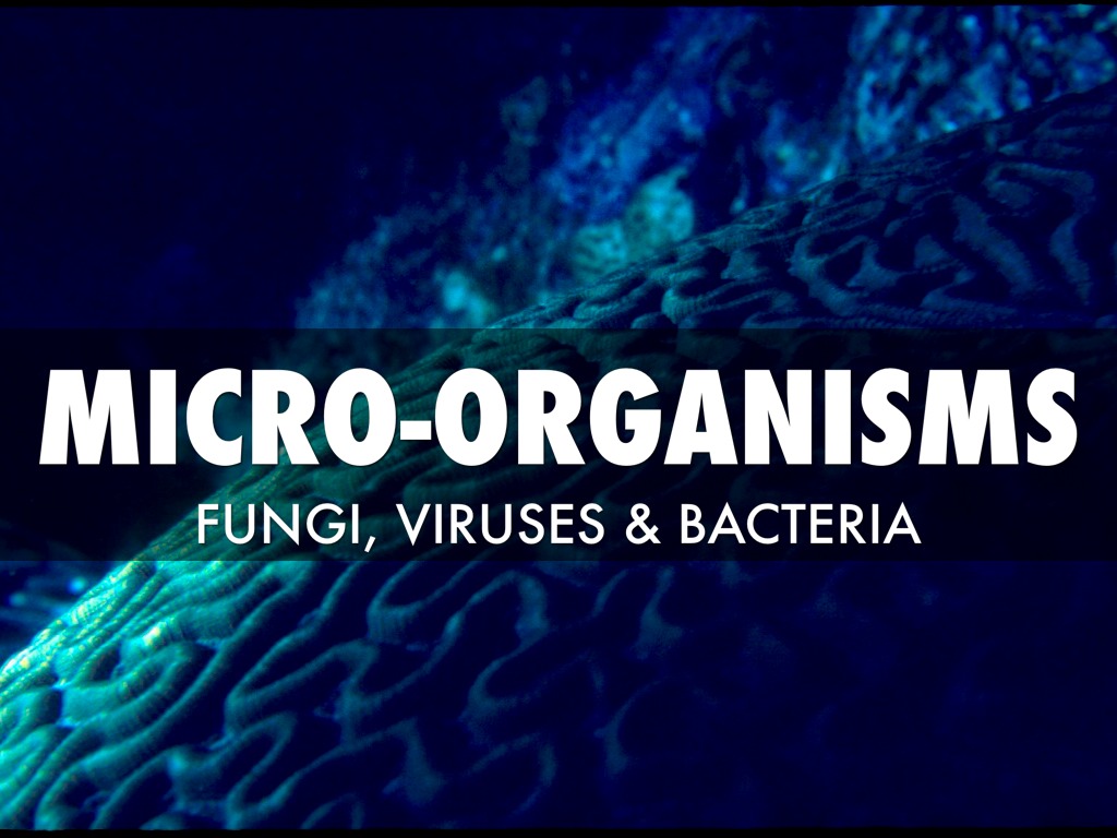 MICRO-ORGANISMS