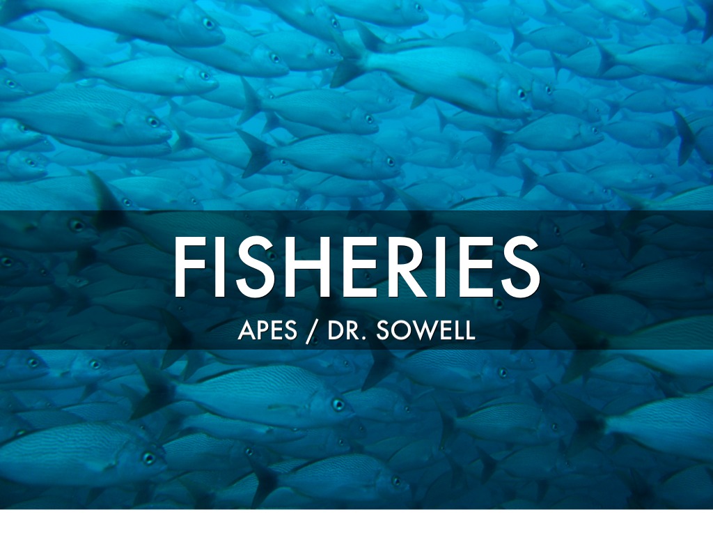 Fisheries