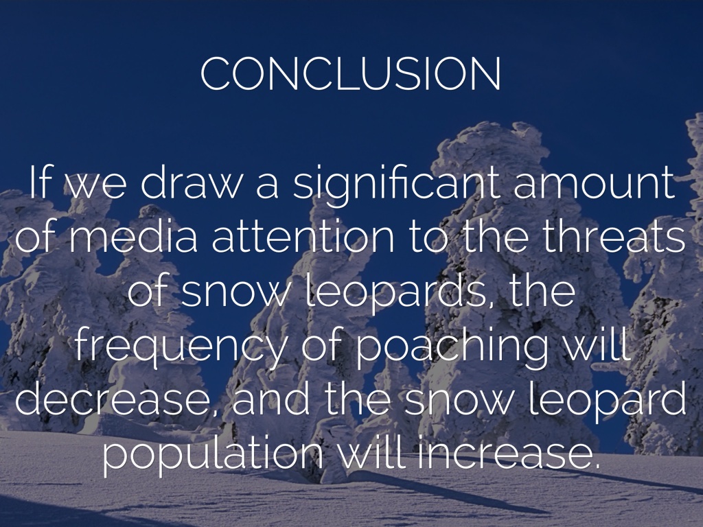 Snow leopard essay conclusion 07 picture