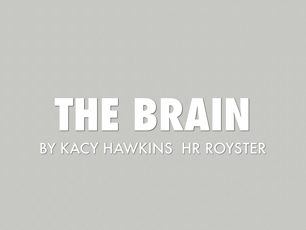 The Brain