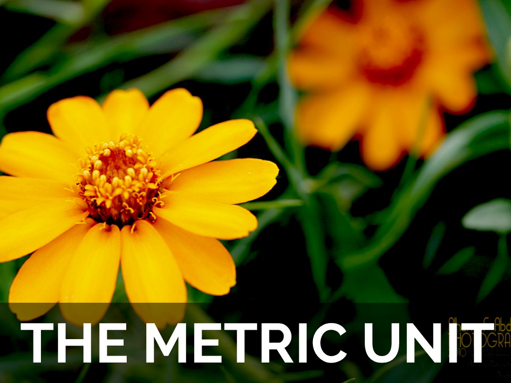Metric Unit 
