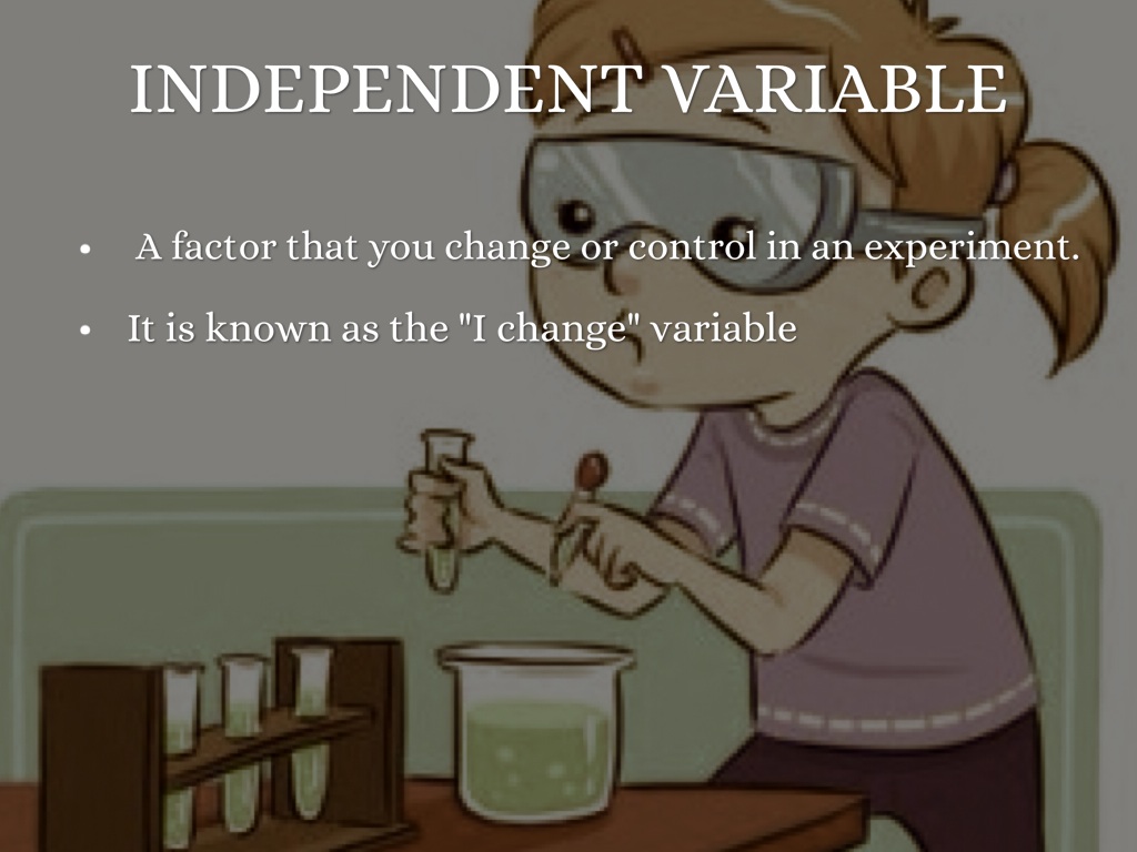 Copy of Variables In An Experiment