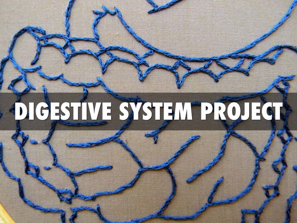 Digestive System