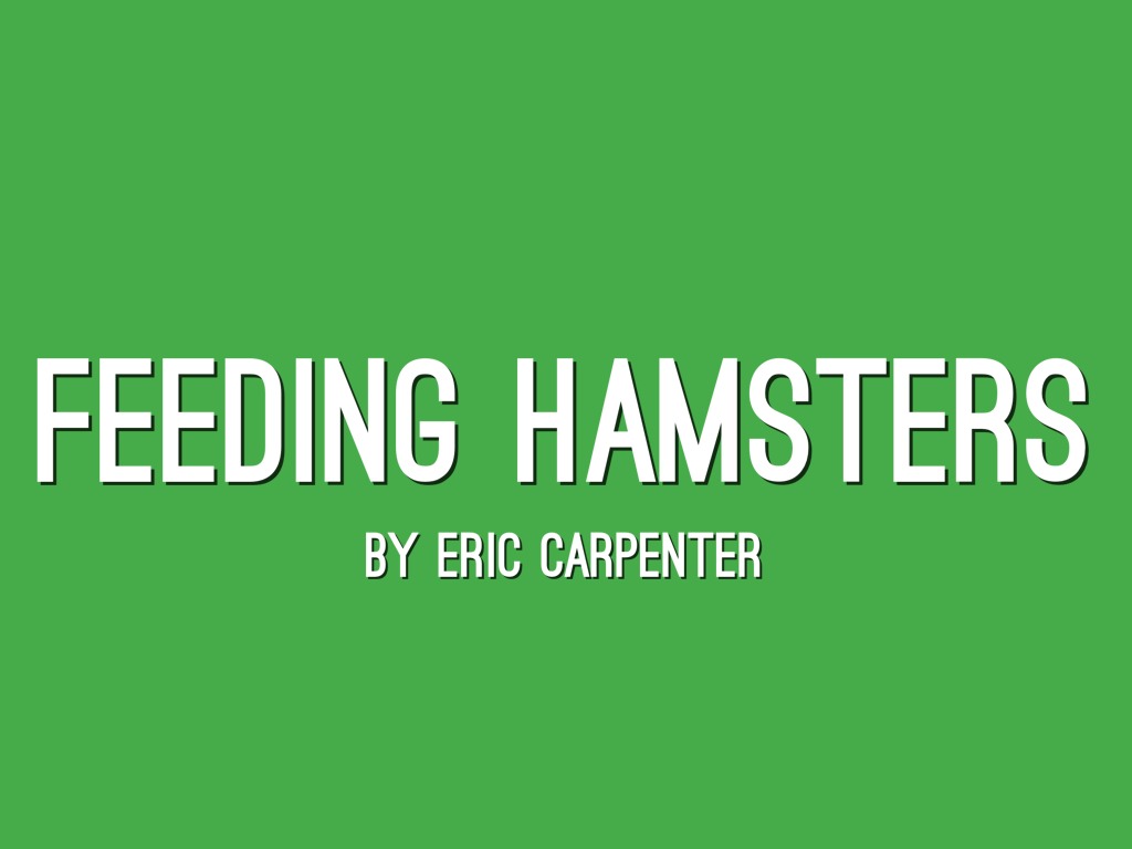 Hamster Project 