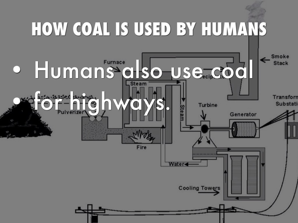 Coal by Taylor Hickman