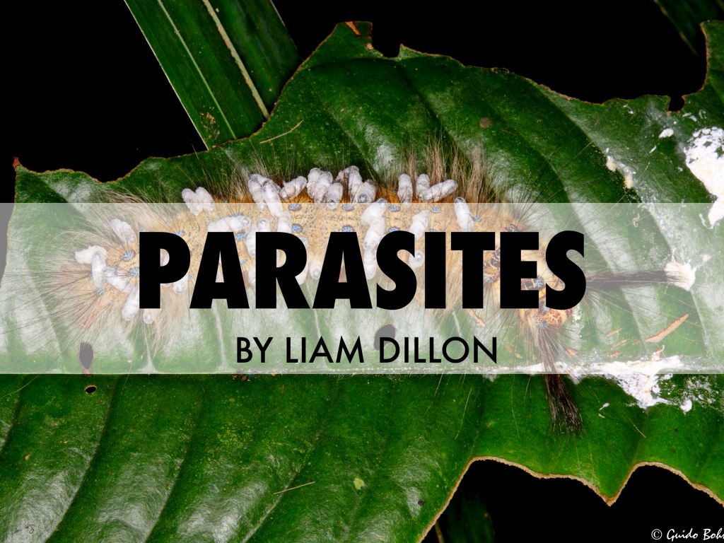Parasites