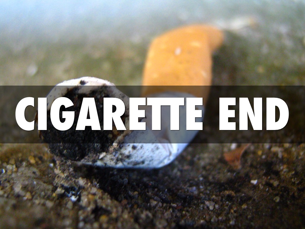 How Long Does Litter Last? by Anna Keirle