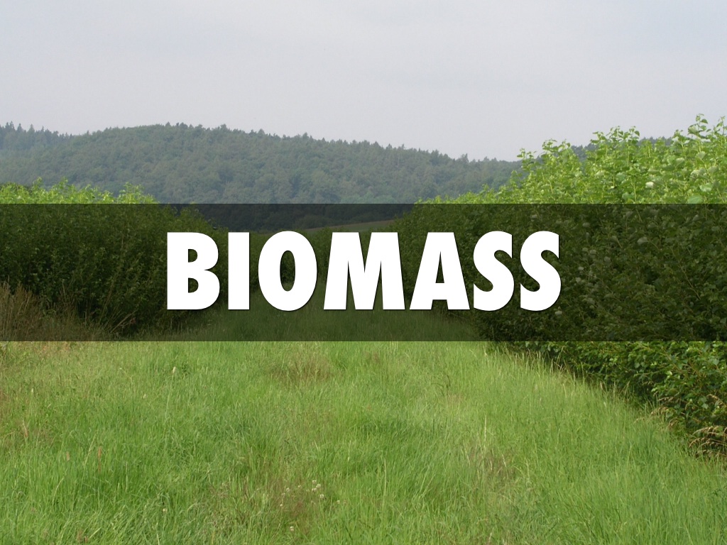 Biomass And Coal