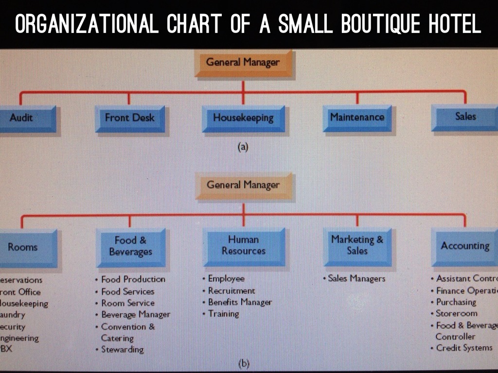 Housekeeping Organizational Chart In Small Hotel