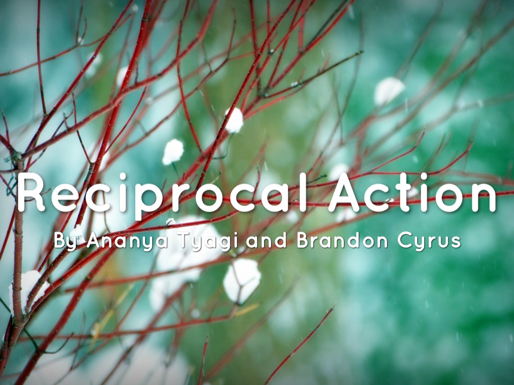 Reciprocal Action
