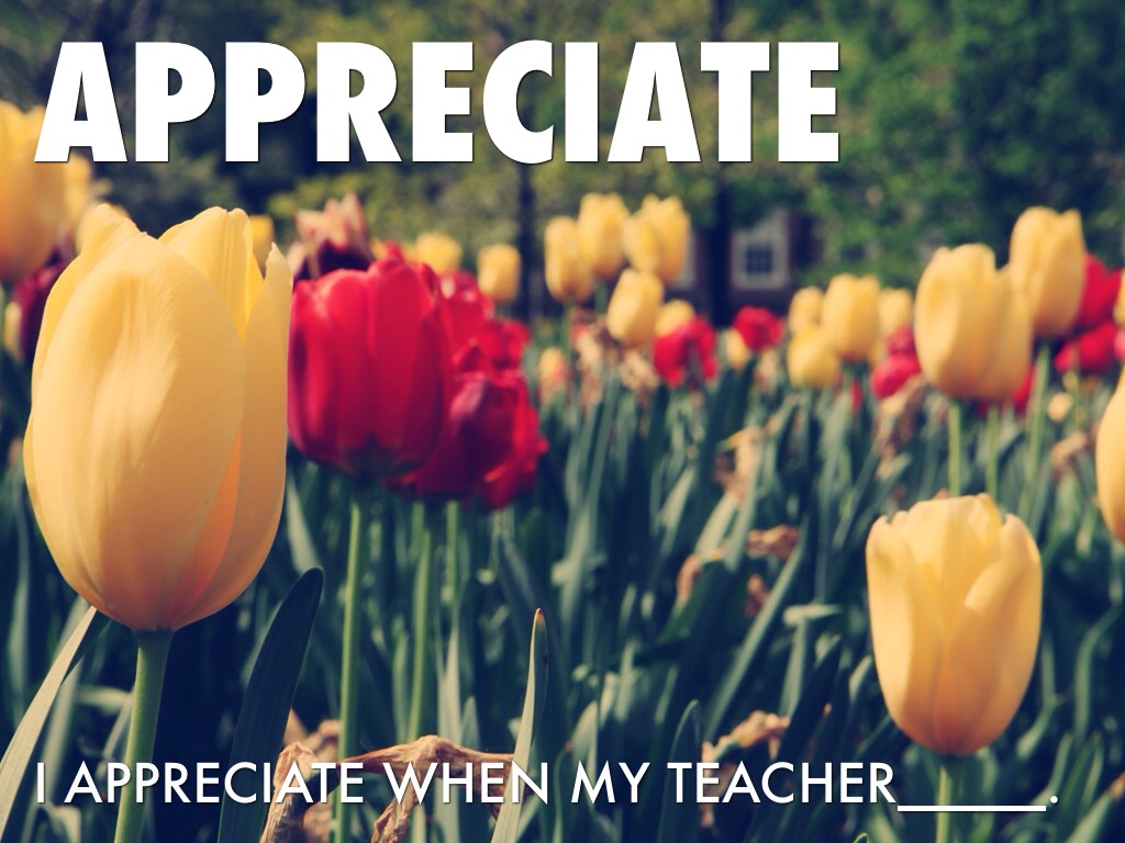 Amazing Words grade 2 unit 5 week 4